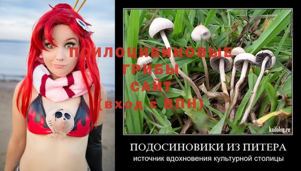apvp Алексеевка