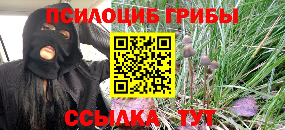 Псилоцибиновые грибы Psilocybine cubensis  Вход с VPN  Петрозаводск  Галлюциногенные грибы ЛСД 
